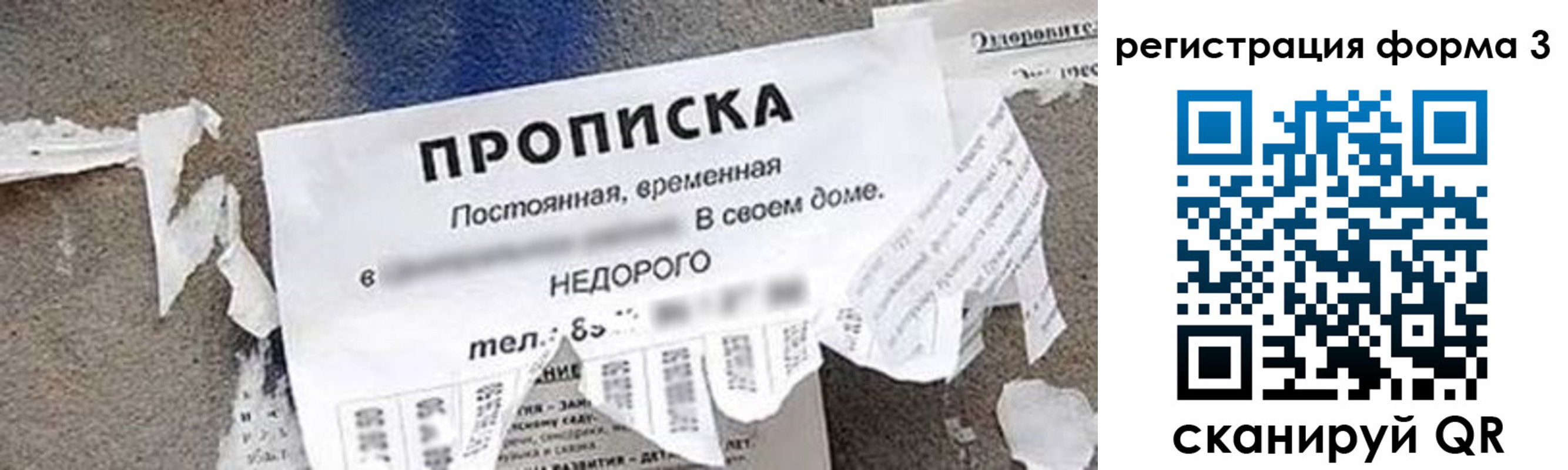 прописка 2025 в Плавске